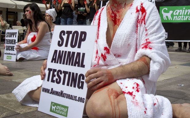 Animal Testing In Makeup Products